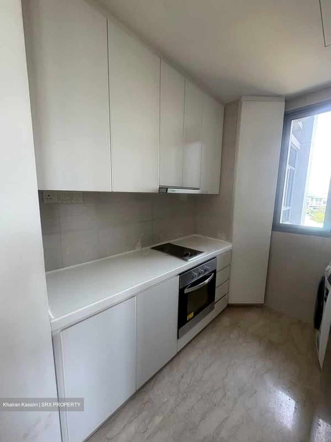Viz At Holland (D10), Condominium #542277831